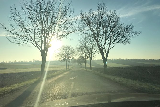 Rental Car With Driver in Strasbourg - Availability 7 Hours - Pricing