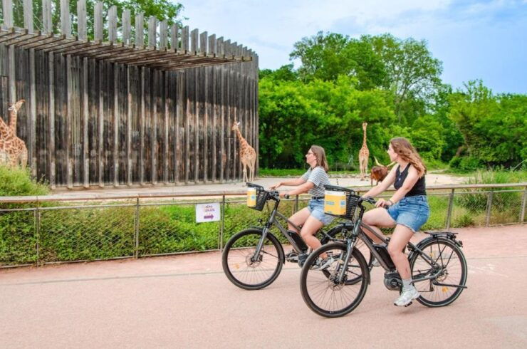 Rental E-Bike for a Day (4h) - Rental E-Bike Details