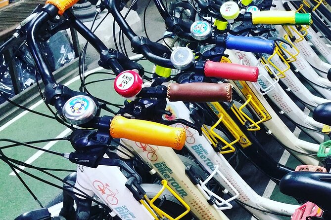 Rental From 4 Hours in Seville - Rental Details