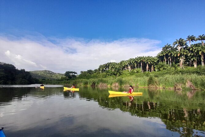 Rental Kayaking or Stand-up Paddle 2H - Exploring Guadeloupe’s Mitan Pond by Kayak or Stand-up Paddle: An In-Depth Review