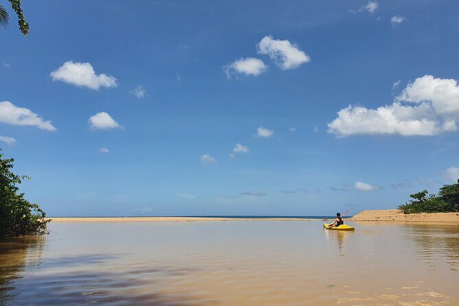 Rental Kayaking or Stand-up Paddle 2H - Good To Know