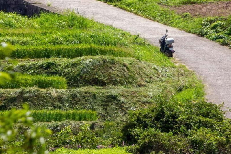 Rental Motorcycle Tour in Kyoto: Arashiyama & West Temple - The Sum Up