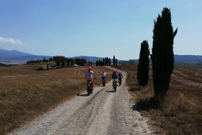 Rental of an Electric Bicycle With Wine Tasting  - Montepulciano - The Sum Up
