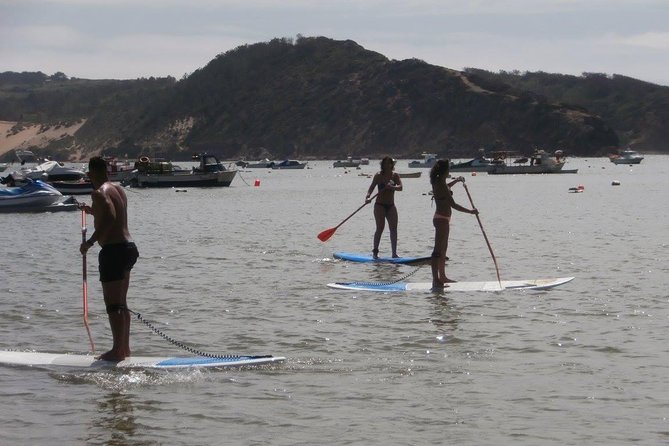 Rental of Boards and Stand up Paddle Lessons - Location Details