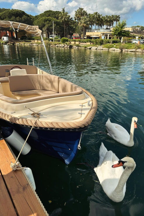 Rental of Electric Boats Without a License - Booking Process and Payment Options