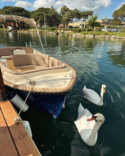 Rental of Electric Boats Without a License - Meeting Point and Facilities