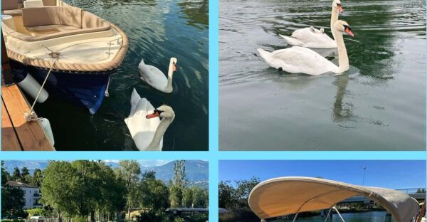 Rental of Electric Boats Without a License - Environmental Benefits of Electric Boats