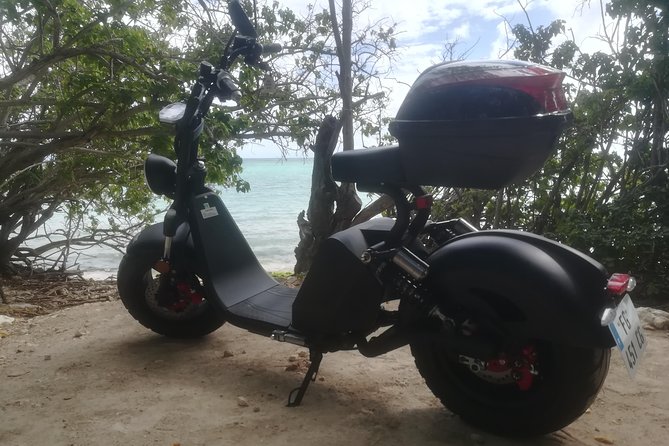 Rental of Electric Scooters - Inclusions Provided With Rental