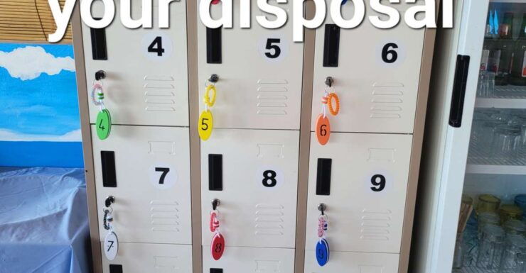 Rental of Transparent Kayaks and Stand up Paddle Boards - Experience Highlights With Kayaks