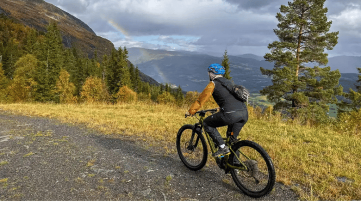 Rentals | E-Mountain Bike - Full Suspension - Equipment Specifications