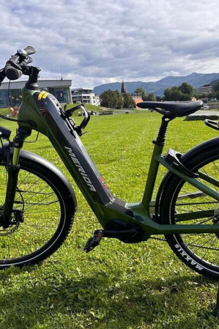 Rentals | E-Trekking Bike - Performance and Versatility