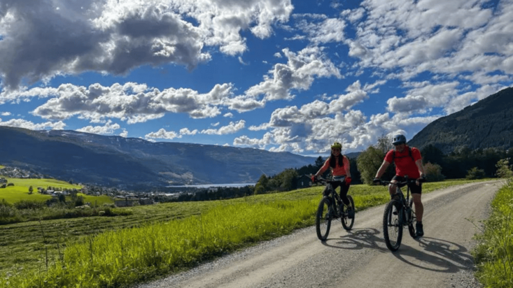 Rentals | Mountain Bike - Full Suspension - Safety and Suitability