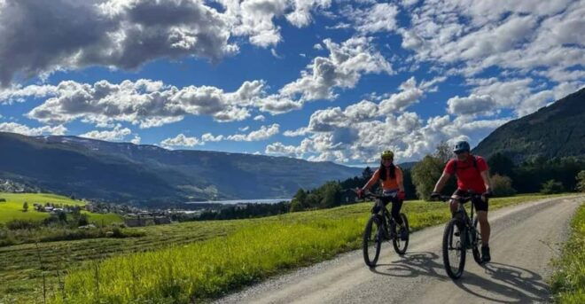Rentals | Mountain Bike - Full Suspension - Location