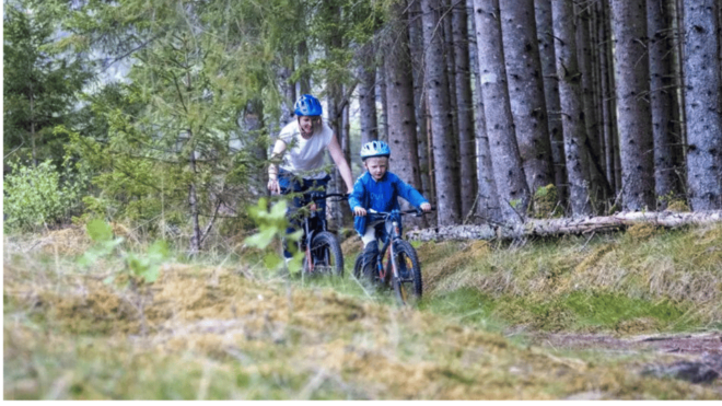 Rentals | Mountain Bike - Full Suspension - Cancellation Policy