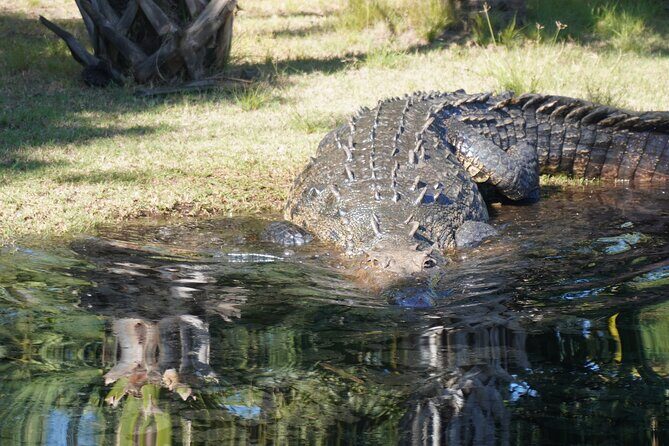 Reptile Eco Tour in Oaxacas Coastal Communities - Good To Know