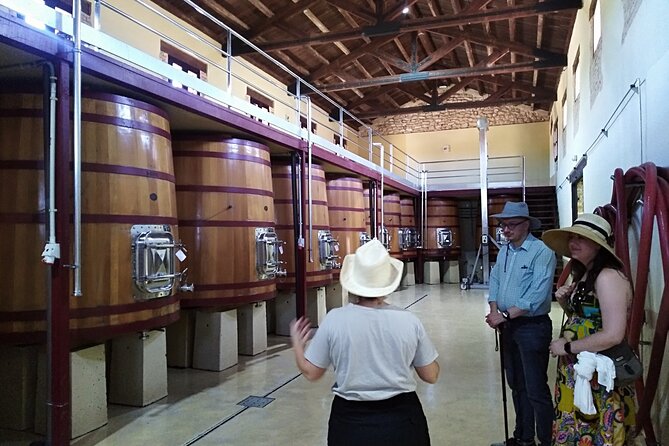 Requena Half-Day Private Vineyards & Premium Wine Tastings Tour - Pricing and Booking Details