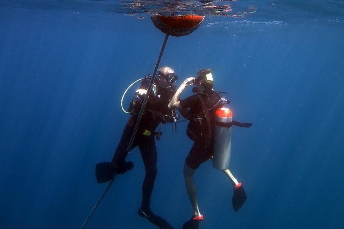 Rescue Diver and EFR ( Start at Koh Chang) - Preparing for Rescue Diver Training