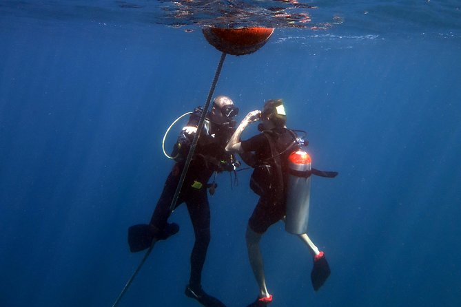 Rescue Diver and EFR (Starts From Ko Kut) - Tips for Choosing the Right Dive Center for the Program