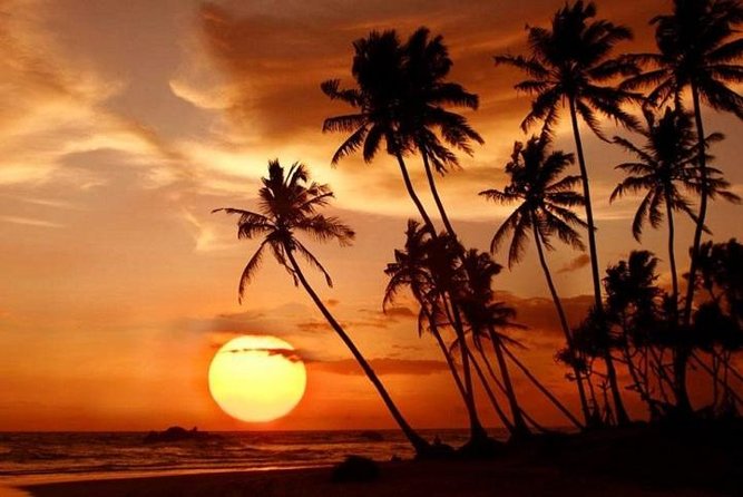 Reserved Train Seats From Unawatuna/ Galle to Colombo - Reviews