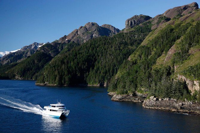Resurrection Bay Cruise With Fox Island - Viator Help Center