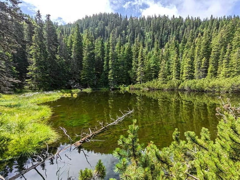 Retezat National Park: Full day hike from Cluj Napoca - Introduction