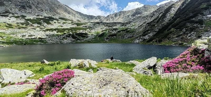 Retezat National Park: Full day hike from Cluj Napoca - Good To Know
