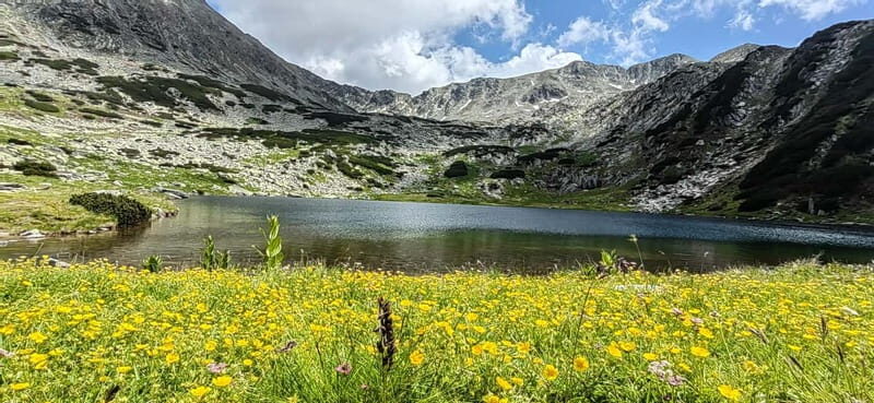 Retezat National Park: Full day hike from Cluj Napoca - Detailed Breakdown of the Itinerary