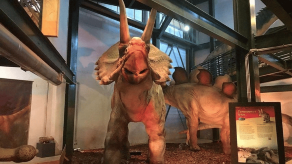 Rethymno & Bali: Day Trip to Dinosauria Park & Cretaquarium - Accessibility Features