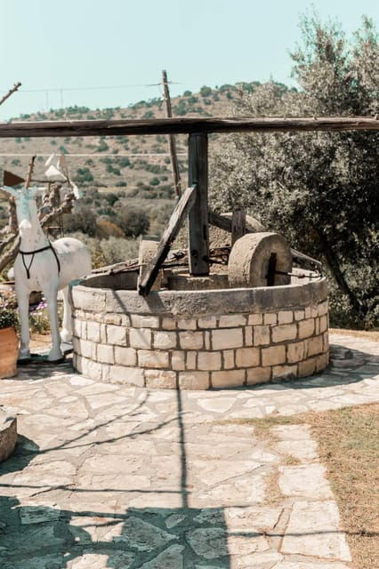 Rethymno: Eleftherna, Melidoni Cave, Honey & Olive Oil Tour - Cretan Honey Production