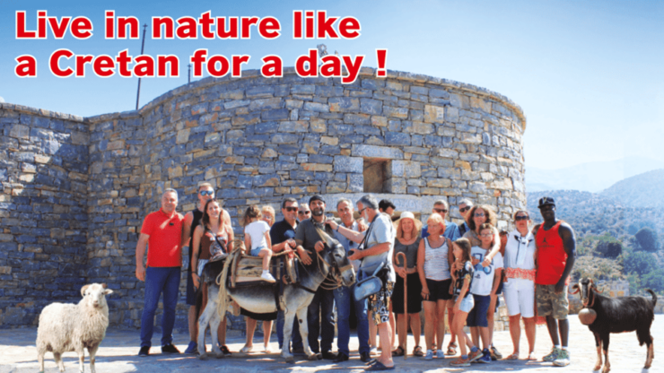 Rethymno: Gastronomy & Culture Day Trip | Cretan Experience - Good To Know