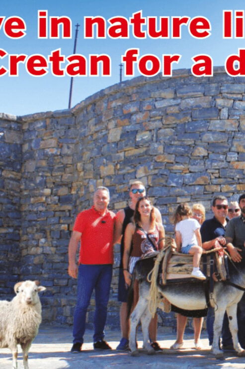 Rethymno: Gastronomy & Culture Day Trip | Cretan Experience - Pricing Details
