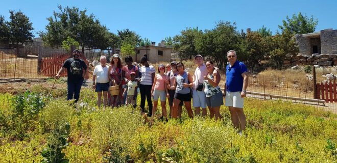 Rethymno: Gastronomy & Culture Day Trip | Cretan Experience - Daily Itinerary