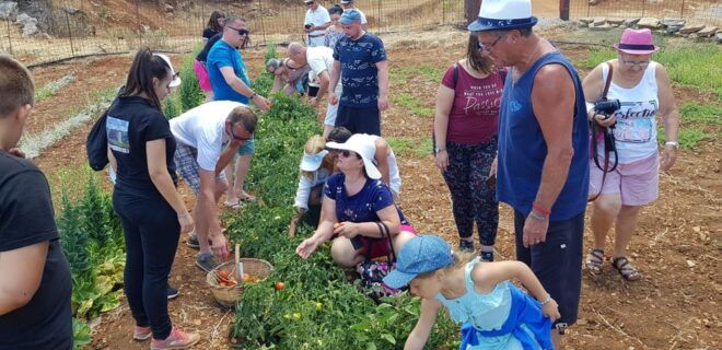 Rethymno: Gastronomy & Culture Day Trip | Cretan Experience - Cultural Highlights