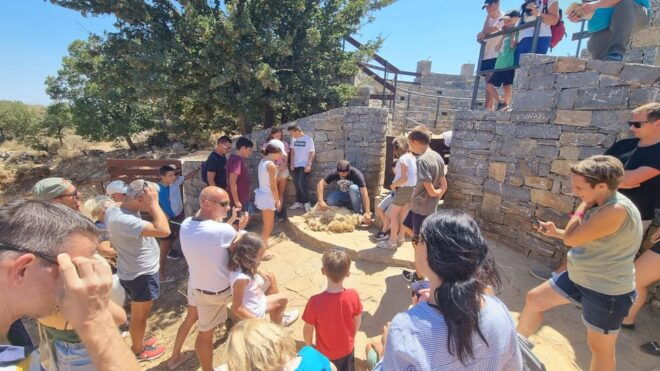 Rethymno: Gastronomy & Culture Day Trip | Cretan Experience - Culinary Delights