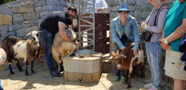 Rethymno: Gastronomy & Culture Day Trip | Cretan Experience - Transportation Options