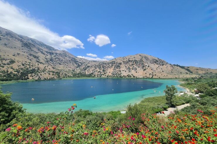 Rethymno Half Day Wine Tasting-Olive Oil Factory-Kourna Lake - Activity Details and Booking Information