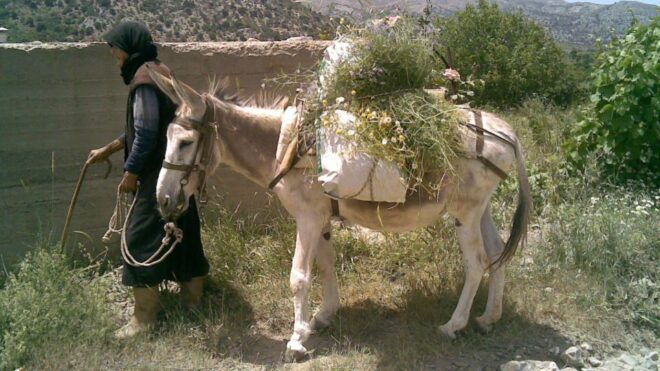 Rethymno Land Rover Safari in Southwest Crete - Important Information