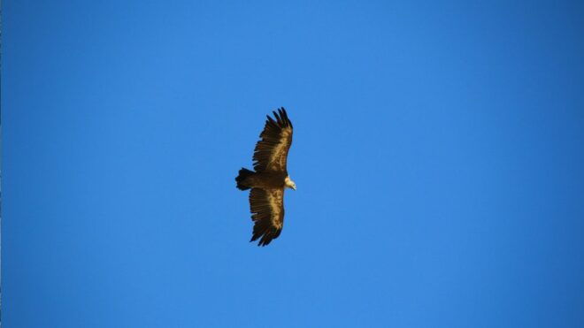 Rethymno Land Rover Safari in Southwest Crete - Customer Reviews