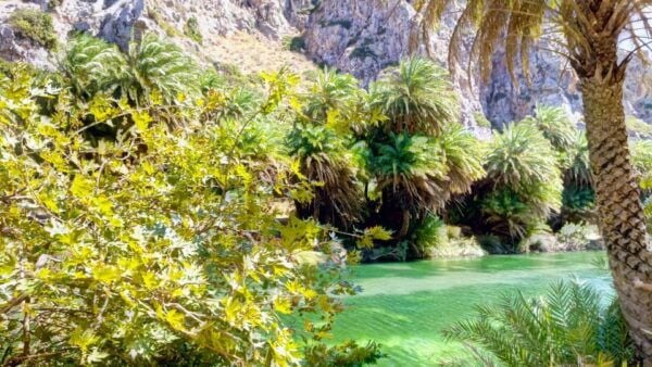 Rethymno Old Town - Preveli Beach - Kourtaliotiko Gorge - Price