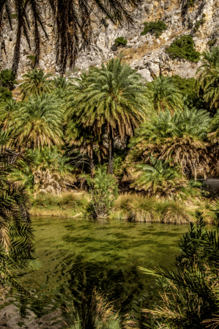 Rethymno: Preveli Palms, Damnioni Beach & Plakias Villlage - Inclusions and Additional Costs
