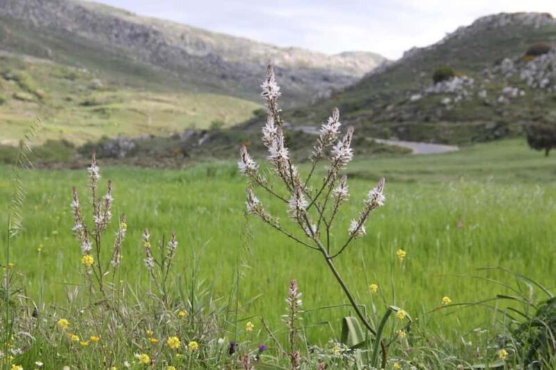 Rethymno: Private SUV Tour South Cretes Villages & Nature - Rethymno: Private SUV Tour South Crete’s Villages & Nature — An Authentic Day of Exploration