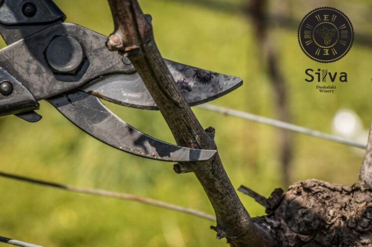 Rethymno: Private Wine Tour of Dafnes Valey With Lunch - Tour Itinerary