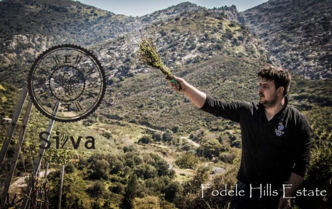 Rethymno: Private Wine Tour of Dafnes Valey With Lunch - Frequently Asked Questions