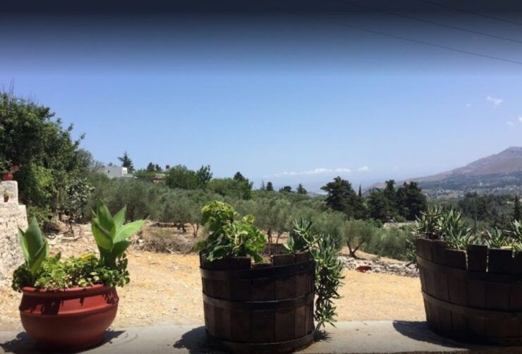 Rethymno: Private Winery & Olive Oil Tasting Tour With Lunch - Activity Details