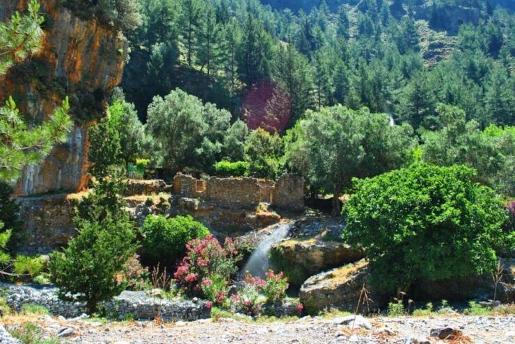 Rethymno to Samaria Gorge: Trekking Europes Longest Gorge - Overview of the Trek