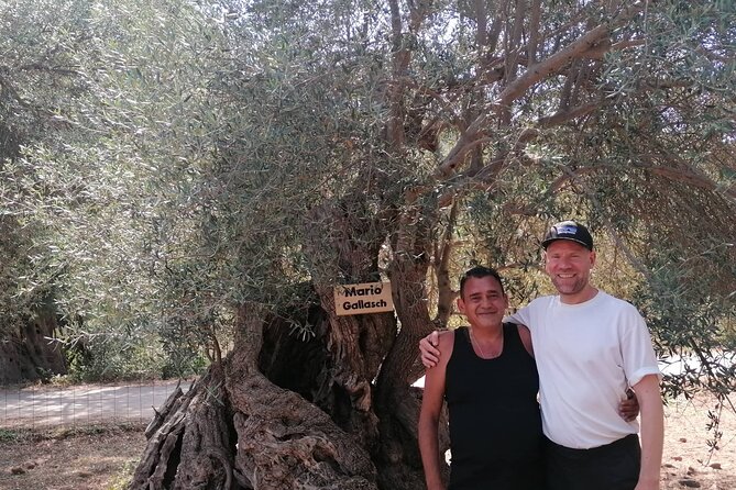 Rethymnon Olive Tree Sponsorship Protect and Plant Tour - Cancellation Policy and Refund Details