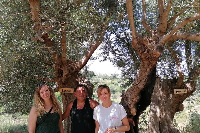 Rethymnon Olive Tree Sponsorship Protect and Plant Tour - Traveler Photos and Sharing Experiences
