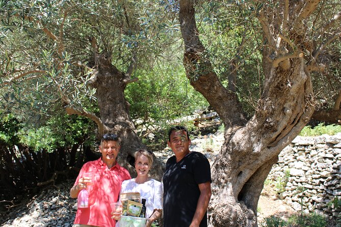 Rethymnon Olive Tree Sponsorship Protect and Plant Tour - Reviews and Overall Rating