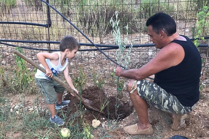 Rethymnon Olive Tree Sponsorship Protect and Plant Tour - Authenticity of Reviews and Count