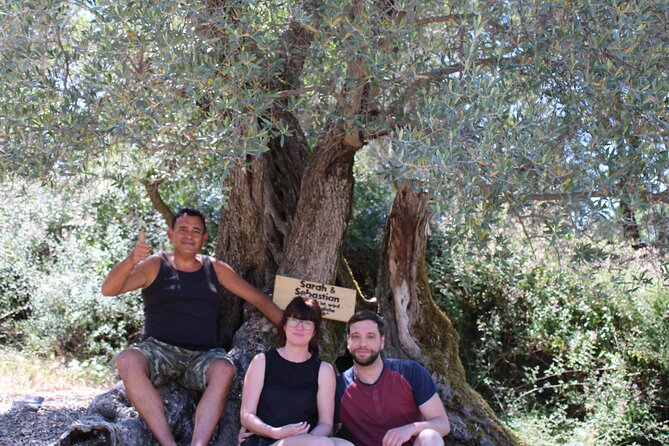 Rethymnon Olive Tree Sponsorship Protect and Plant Tour - Sponsorship Details and Tree Planting Process